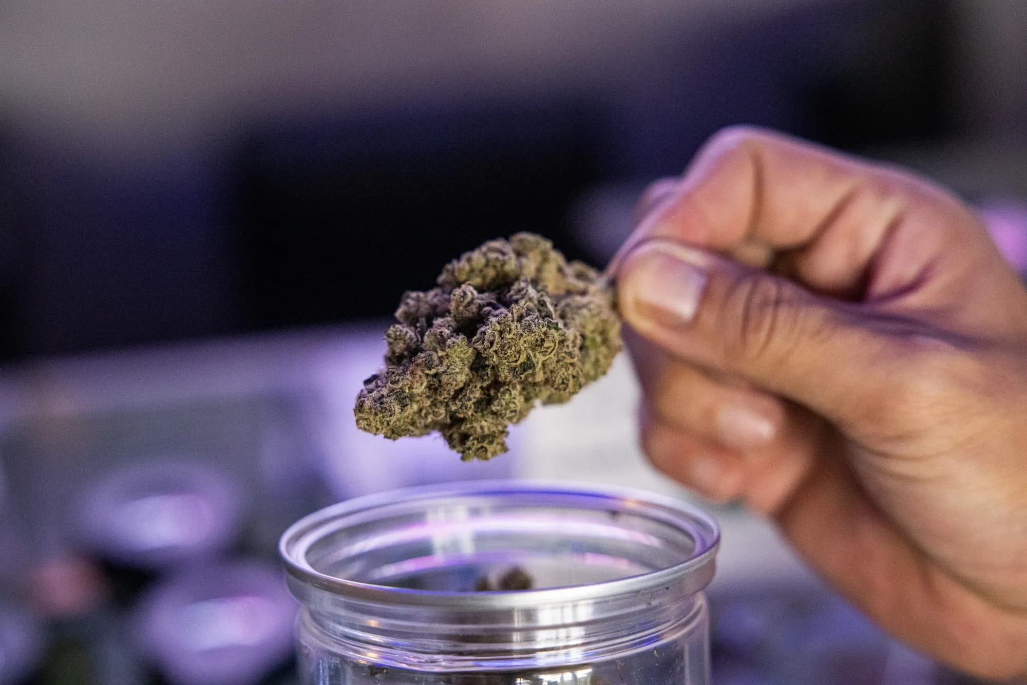 Why Choose Atlantic Cannabis in Halifax Nova Scotia for Your Cannabis Needs?