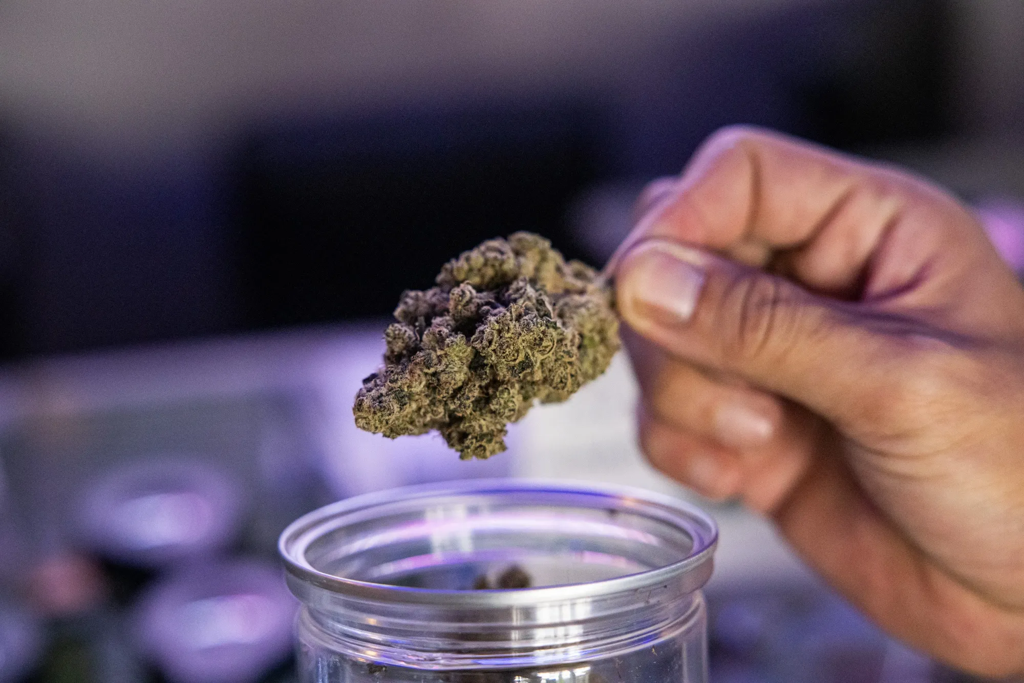 Why Choose Atlantic Cannabis in Halifax Nova Scotia for Your Cannabis Needs?