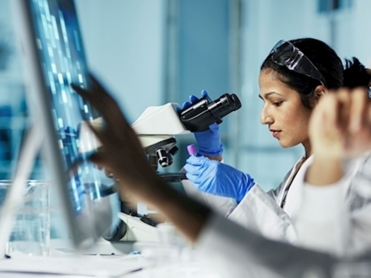 Apprenticeships UK: From Entry-Level to Professional Roles