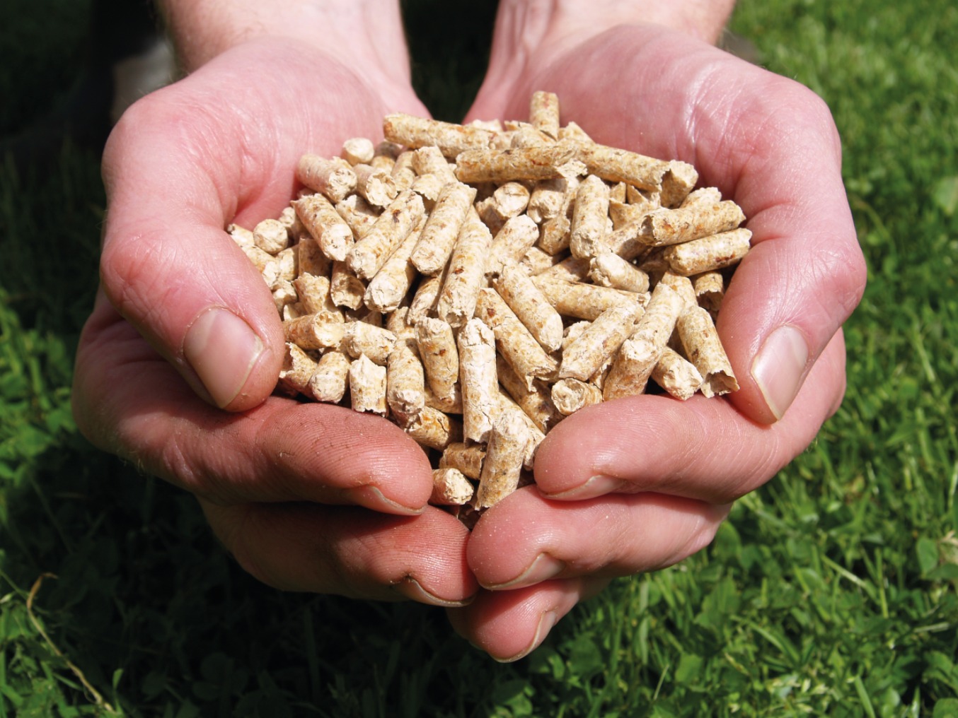 Wood Pellets Designed for Stoves, Boilers, and Furnaces