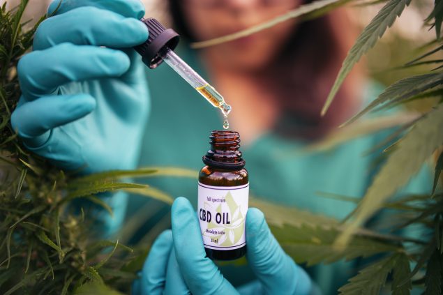Jealousy Strain – Top-Quality Weed Available at Bud Cargo