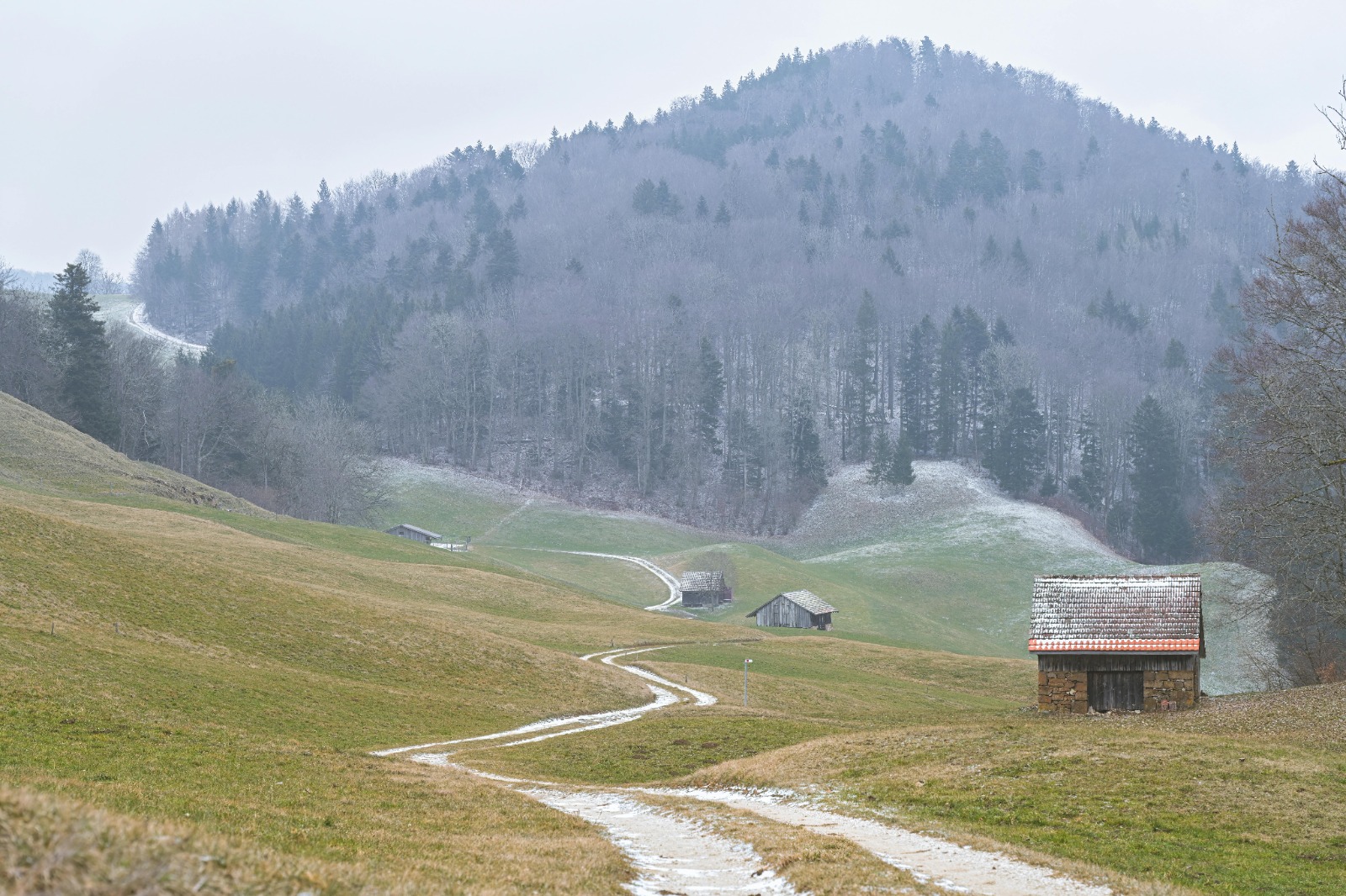 Cool Walking Trails Near Me for Easy and Enjoyable Exploration