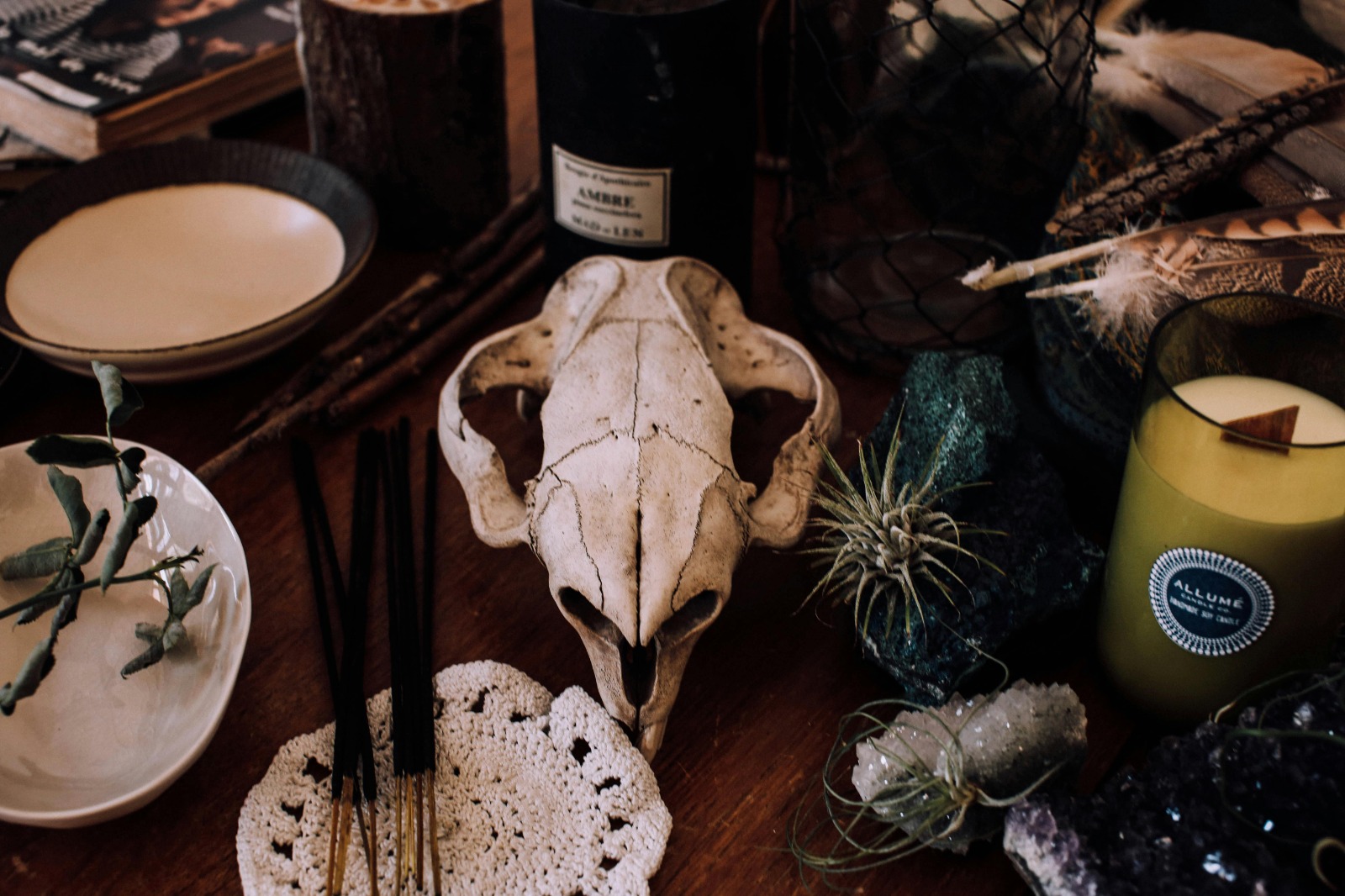 Ayurveda Online Courses Blending Tradition and Modern Science