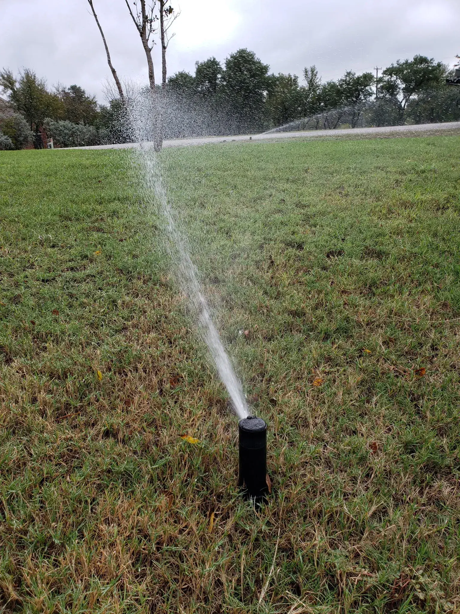 Professional Expert Drainage Services in Springtown , TX Near You