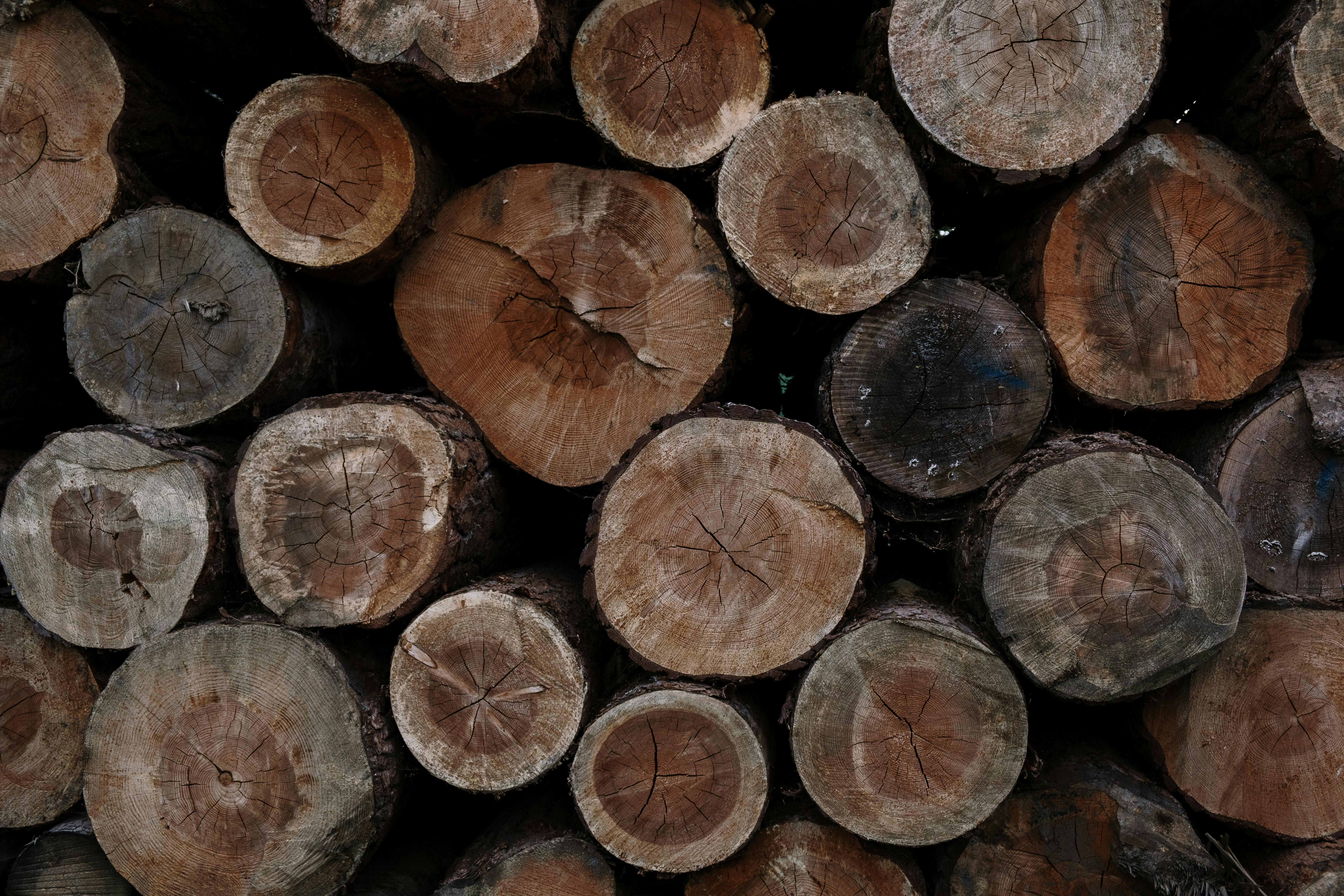 Sustainable Heating Made Easy with Biomass Briquettes Poland