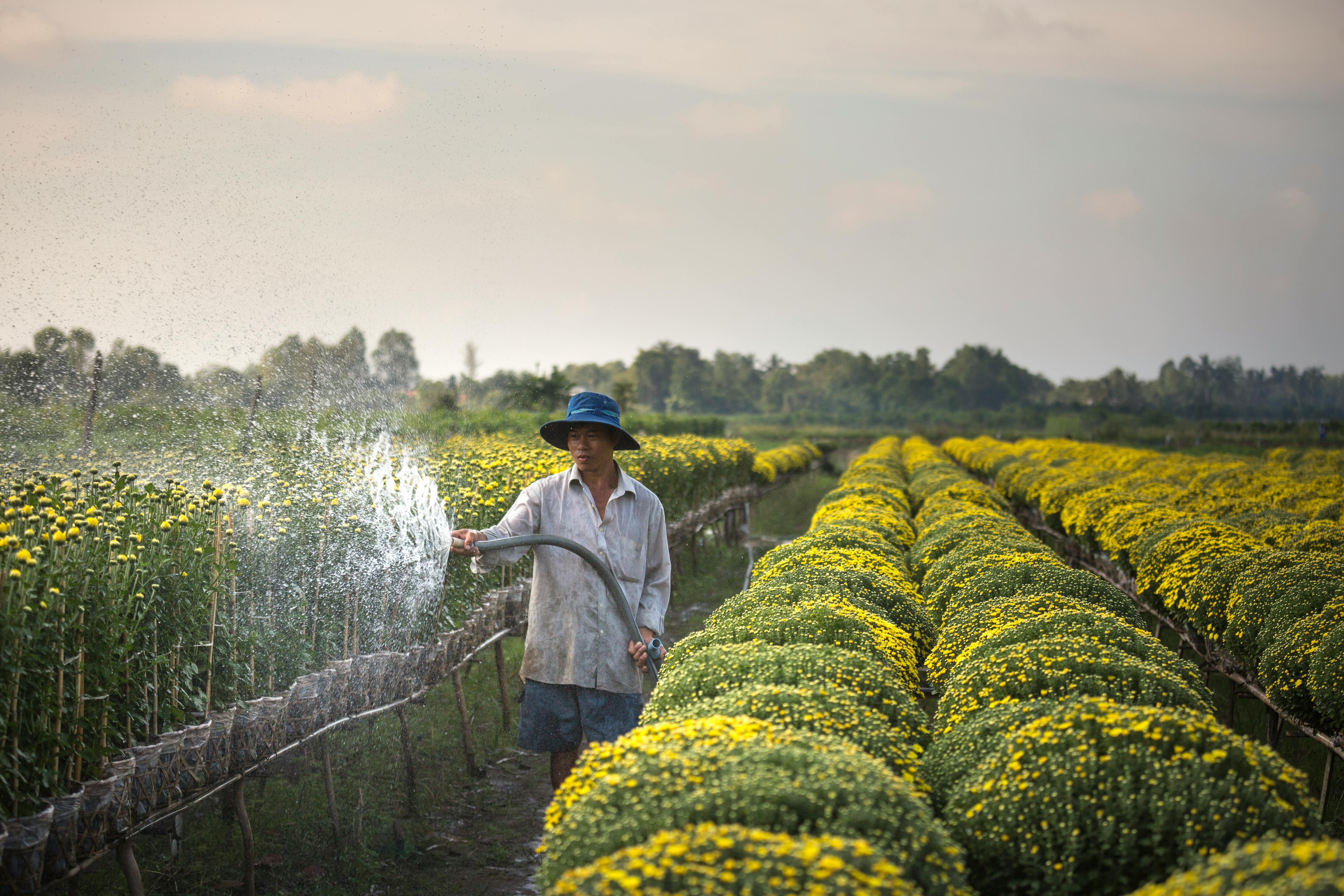 PROFESSIONAL IRRIGATION SERVICES IN HALTOM CITY, TX – RELIABLE AND AFFORDABLE