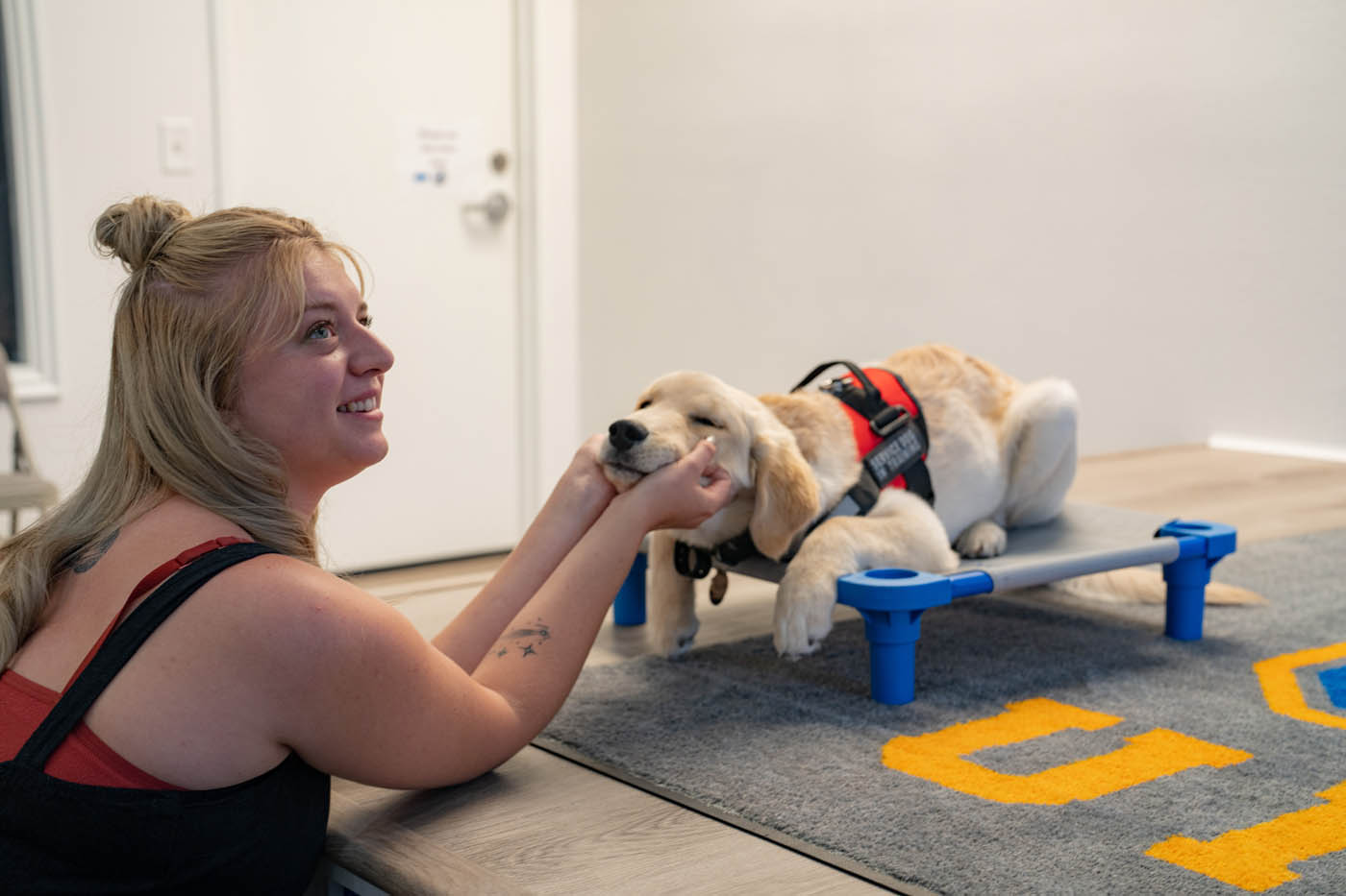 Inspiring Dog Training Success Stories That Truly Transform